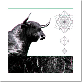 Taurus Posters and Art